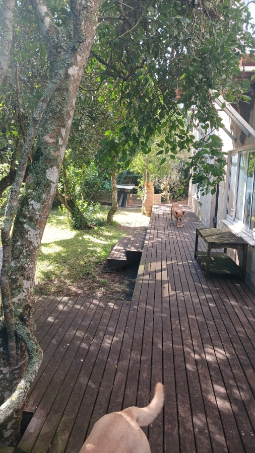 To Let 2 Bedroom Property for Rent in Walmer Heights Eastern Cape